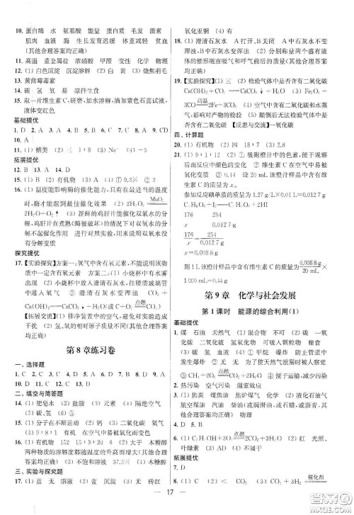 南京大学出版社2020提优训练课课练九年级化学下册国标上海版答案