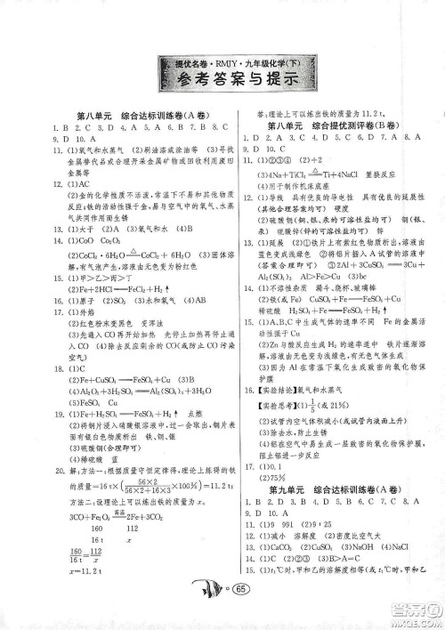 春雨教育2020名牌牛皮卷提优名卷九年级化学下册人民教育版答案