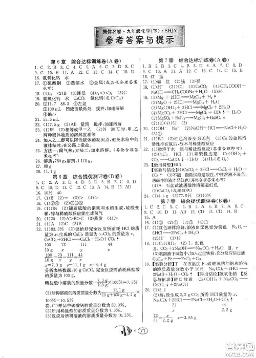 春雨教育2020名牌牛皮卷提优名卷九年级化学下册上海教育版答案