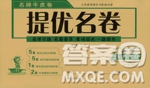 春雨教育2020名牌牛皮卷提优名卷九年级化学下册人民教育版答案