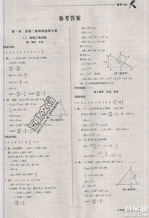 辽海出版社2020全优点练课计划九年级数学下册北师大版答案