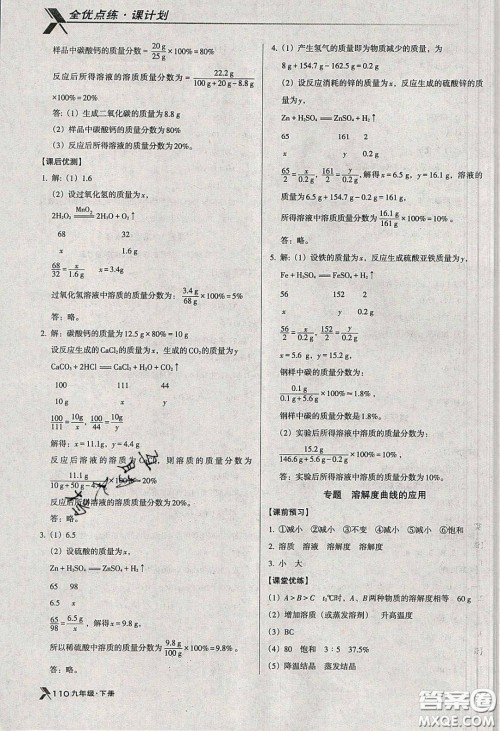 辽海出版社2020全优点练课计划九年级化学下册人教版答案