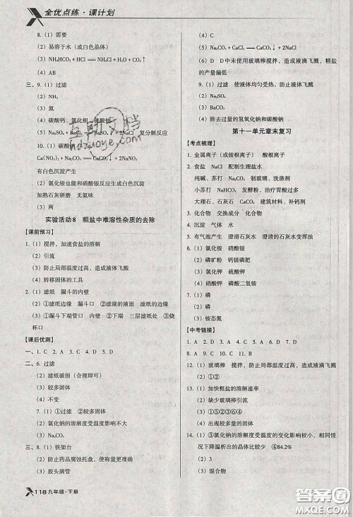 辽海出版社2020全优点练课计划九年级化学下册人教版答案