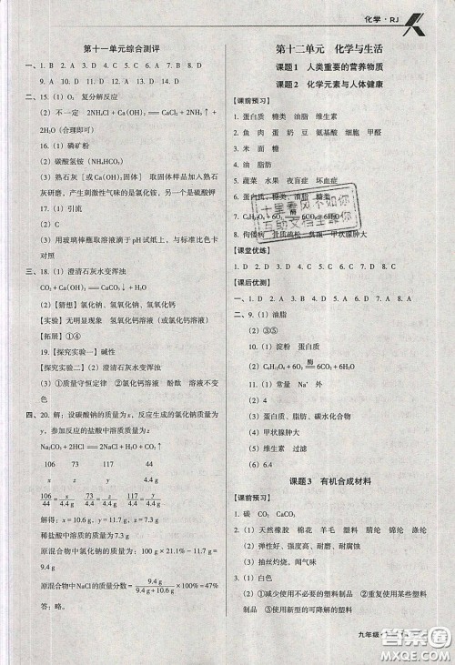 辽海出版社2020全优点练课计划九年级化学下册人教版答案