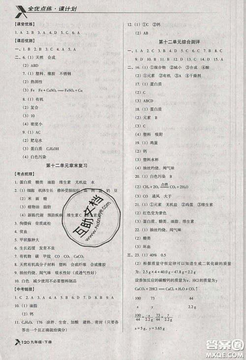 辽海出版社2020全优点练课计划九年级化学下册人教版答案