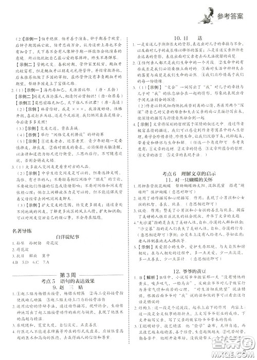 2020年快捷语文5+1组合阅读活页版周周练七年级参考答案 2020年快捷语文5+1组合阅读活页版周周练七年级参考答案