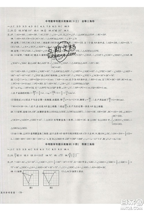 学而优2020中考专题分类集训数学答案