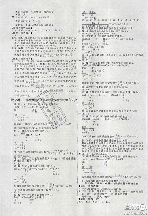 2020春优加学案课时通九年级化学下册Y版答案