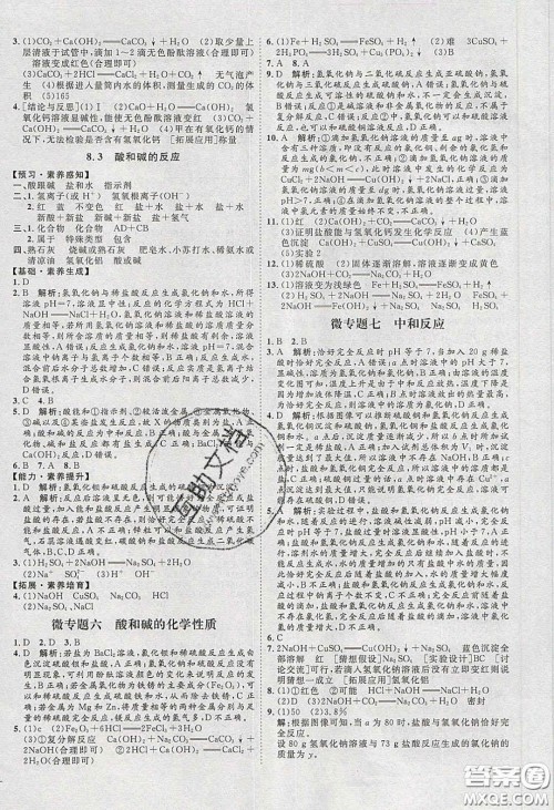 2020春优加学案课时通九年级化学下册Y版答案