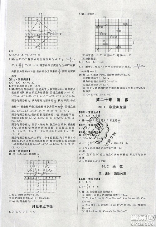 2020春优加学案课时通八年级数学下册N版河北专用答案 2020春优加学案课时通八年级数学下册N版河北专用答案