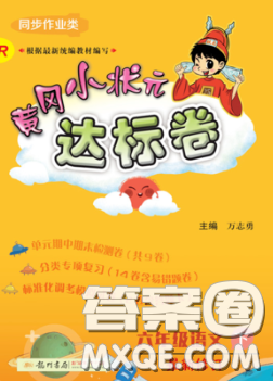 2020年黄冈小状元达标卷六年级语文下册人教版答案 2020年黄冈小状元达标卷六年级语文下册人教版答案