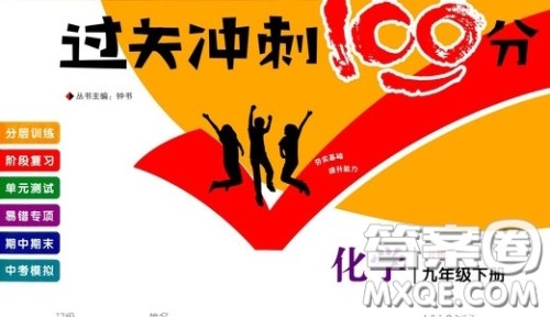 上海大学出版社2020年过关冲刺100分化学九年级下册R版人教版参考答案