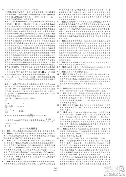 上海大学出版社2020年过关冲刺100分化学九年级下册R版人教版参考答案