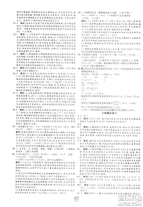 上海大学出版社2020年过关冲刺100分化学九年级下册R版人教版参考答案