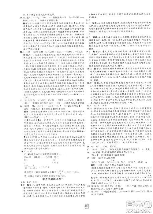 上海大学出版社2020年过关冲刺100分化学九年级下册R版人教版参考答案