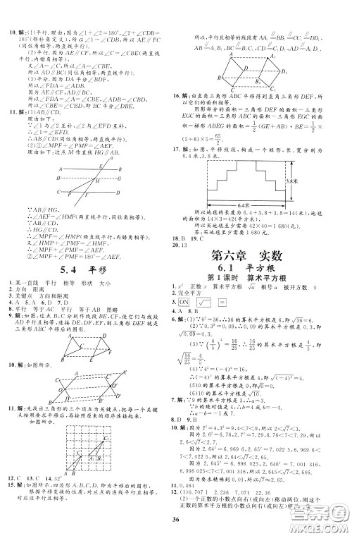 钟书金牌2020年非常1+1完全题练七年级下册数学R版人教版参考答案 钟书金牌2020年非常1+1完全题练七年级下册数学R版人教版参考答案
