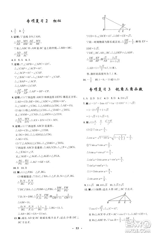 钟书金牌2020年非常1+1完全题练九年级下册数学R版人教版参考答案