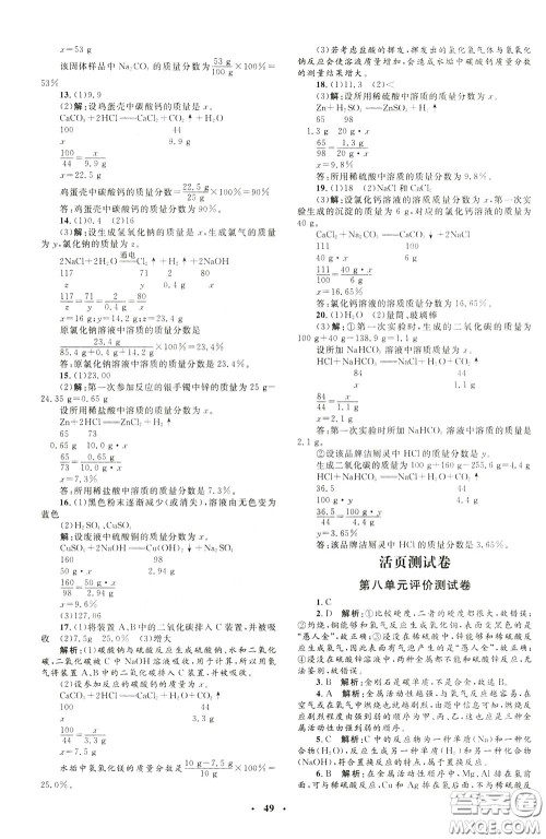 钟书金牌2020年非常1+1完全题练九年级下册化学R版人教版参考答案