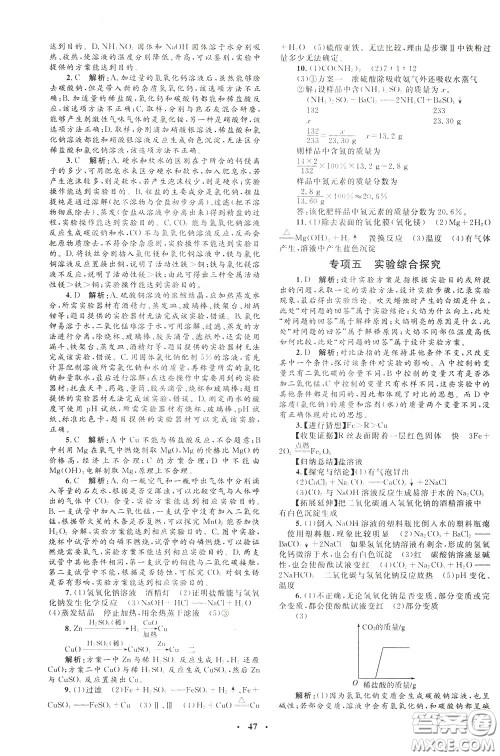 钟书金牌2020年非常1+1完全题练九年级下册化学R版人教版参考答案