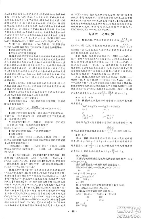 钟书金牌2020年非常1+1完全题练九年级下册化学R版人教版参考答案