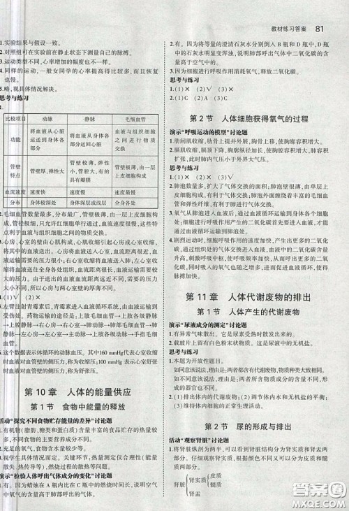 北京师范大学出版社义务教育教科书2020生物学七年级下册北师大版教材习题答案