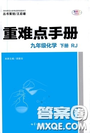 华中师范大学出版社2020年重难点手册九年级化学下册RJ人教版参考答案