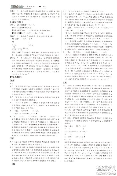 华中师范大学出版社2020年重难点手册九年级化学下册RJ人教版参考答案