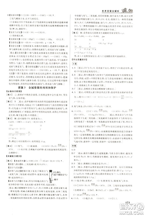 华中师范大学出版社2020年重难点手册九年级化学下册RJ人教版参考答案