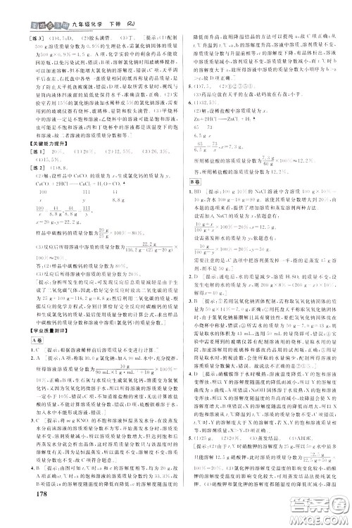 华中师范大学出版社2020年重难点手册九年级化学下册RJ人教版参考答案