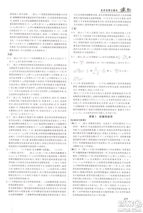华中师范大学出版社2020年重难点手册九年级化学下册RJ人教版参考答案