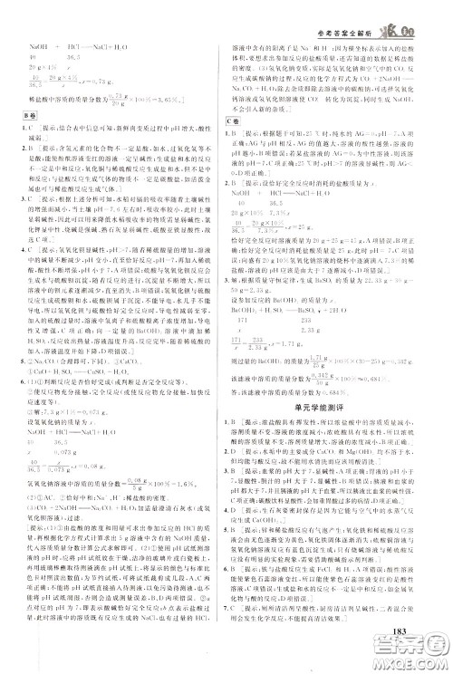 华中师范大学出版社2020年重难点手册九年级化学下册RJ人教版参考答案