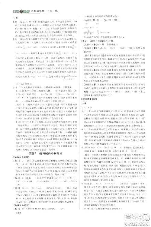 华中师范大学出版社2020年重难点手册九年级化学下册RJ人教版参考答案