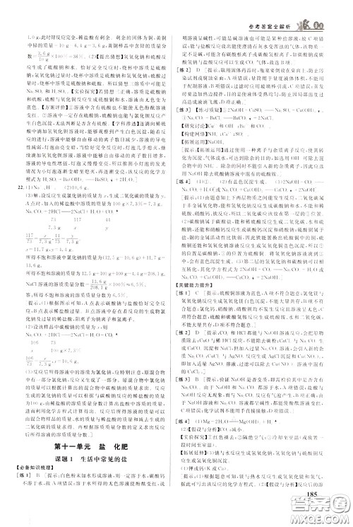 华中师范大学出版社2020年重难点手册九年级化学下册RJ人教版参考答案