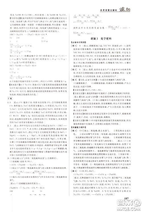 华中师范大学出版社2020年重难点手册九年级化学下册RJ人教版参考答案