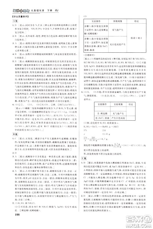 华中师范大学出版社2020年重难点手册九年级化学下册RJ人教版参考答案