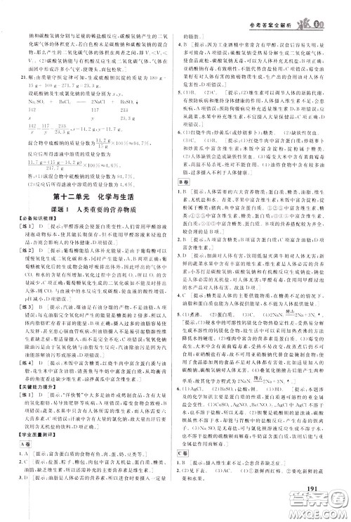 华中师范大学出版社2020年重难点手册九年级化学下册RJ人教版参考答案