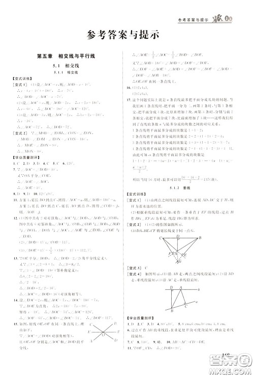 华中师范大学出版社2020年重难点手册七年级数学下册RJ人教版参考答案 华中师范大学出版社2020年重难点手册七年级数学下册RJ人教版参考答案