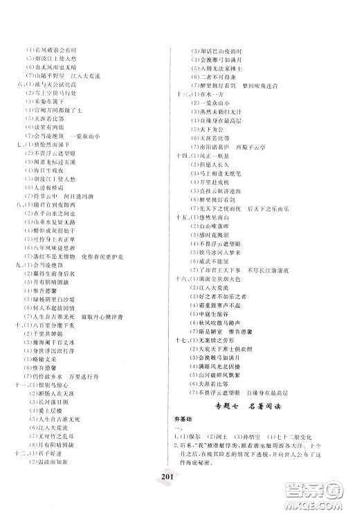 天津人民出版社2020年一飞冲天中考专项精品试题分类语文参考答案