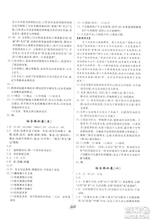 天津人民出版社2020年一飞冲天中考专项精品试题分类语文参考答案