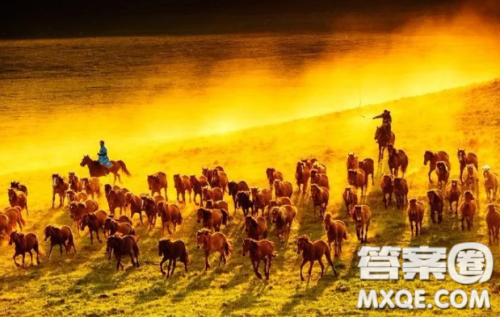 万马奔腾与一骑绝尘作文800字 关于万马奔腾与一骑绝尘议论文800字作文 万马奔腾与一骑绝尘作文800字 关于万马奔腾与一骑绝尘议论文800字作文