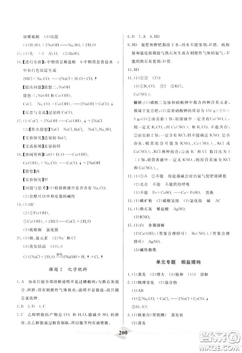 天津人民出版社2020年一飞冲天中考专项精品试题分类化学参考答案 天津人民出版社2020年一飞冲天中考专项精品试题分类化学参考答案