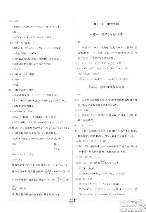 天津人民出版社2020年一飞冲天中考专项精品试题分类化学参考答案