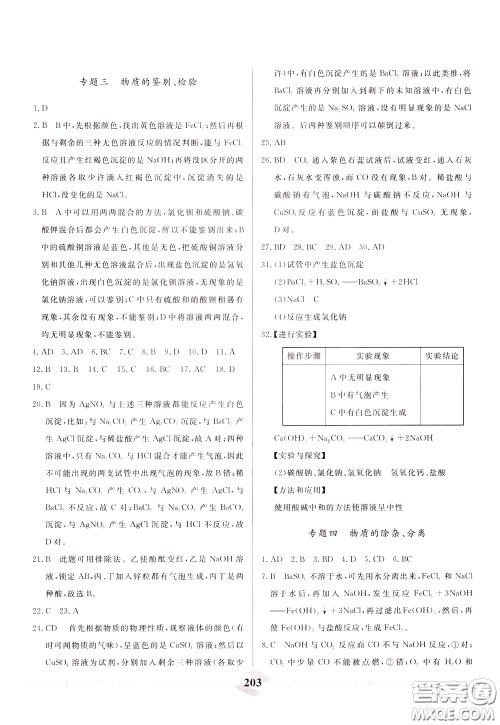 天津人民出版社2020年一飞冲天中考专项精品试题分类化学参考答案