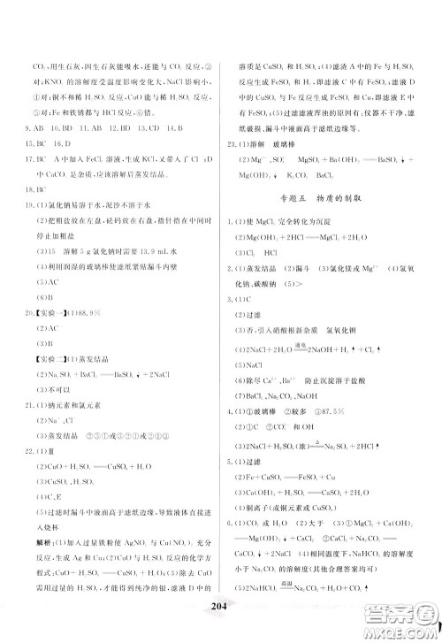 天津人民出版社2020年一飞冲天中考专项精品试题分类化学参考答案 天津人民出版社2020年一飞冲天中考专项精品试题分类化学参考答案