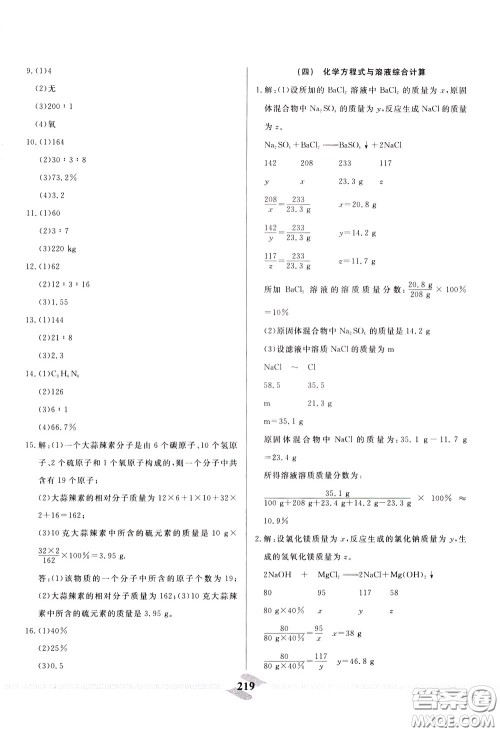 天津人民出版社2020年一飞冲天中考专项精品试题分类化学参考答案