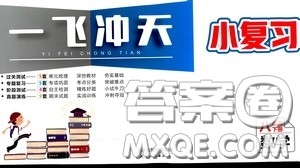 2020年一飞冲天小复习八年级下册数学参考答案