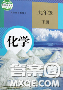 人民教育出版社2020义务教育教科书九年级化学下册人教版教材课后习题答案 人民教育出版社2020义务教育教科书九年级化学下册人教版教材课后习题答案
