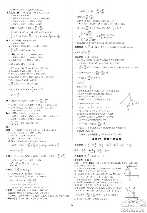 典学文化2020全新版领跑中考数学江西专用学生用书参考答案