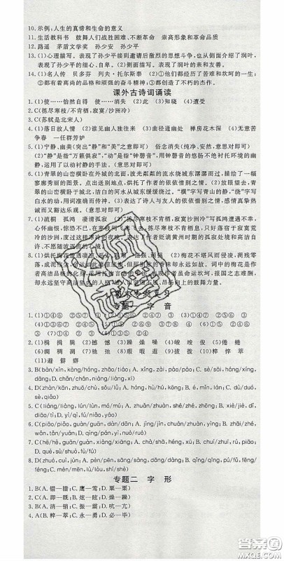 河南专用2020春优翼学练优八年级语文下册人教版答案