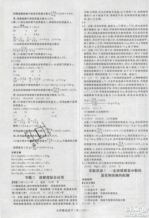 河南专用2020春优翼学练优九年级化学下册人教版答案 河南专用2020春优翼学练优九年级化学下册人教版答案